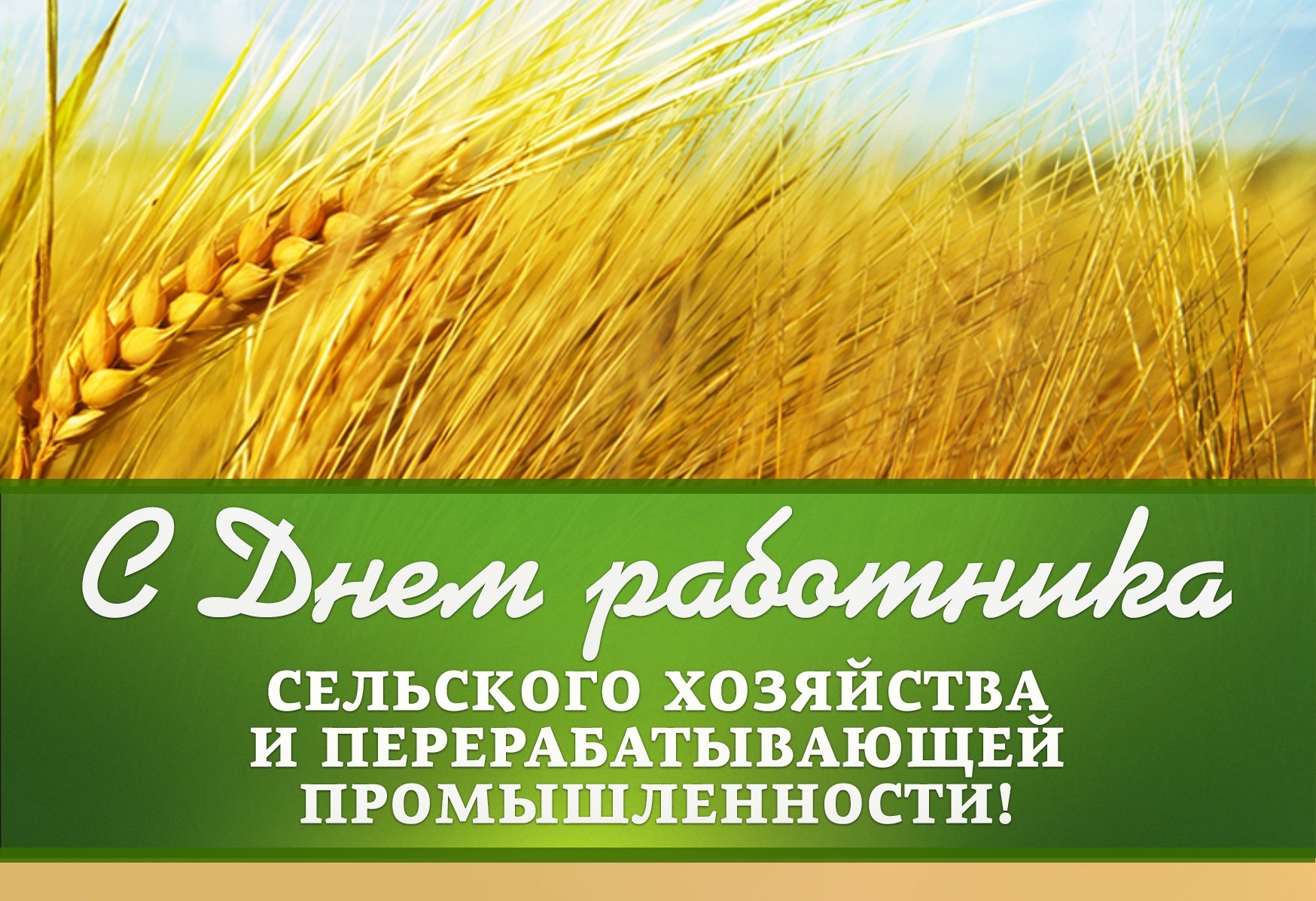 день сх 2025 1